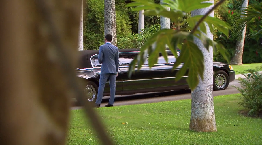 The Bachelor 