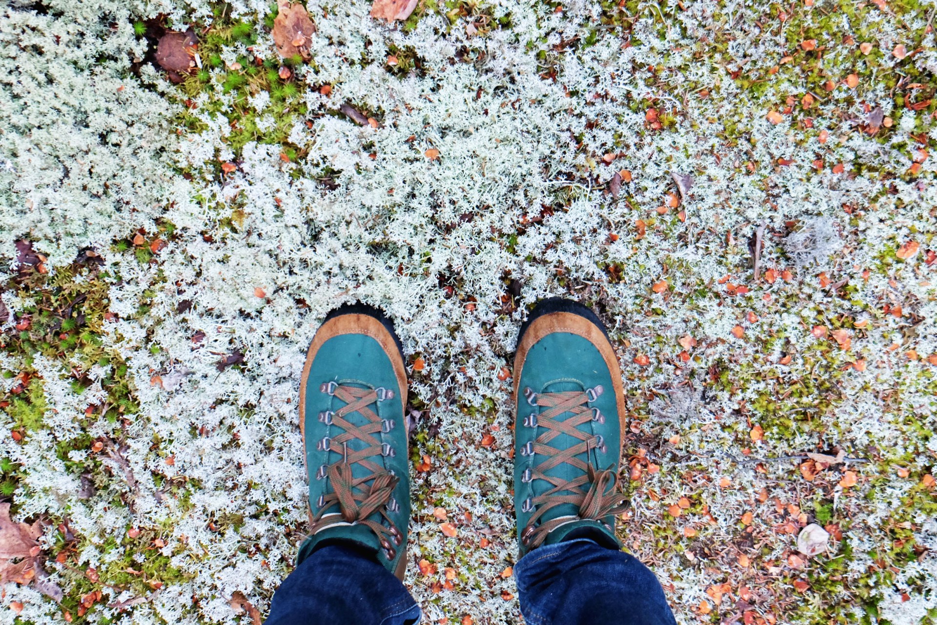 30 Simple Things You Need To Indulge In Before This Winter Ends