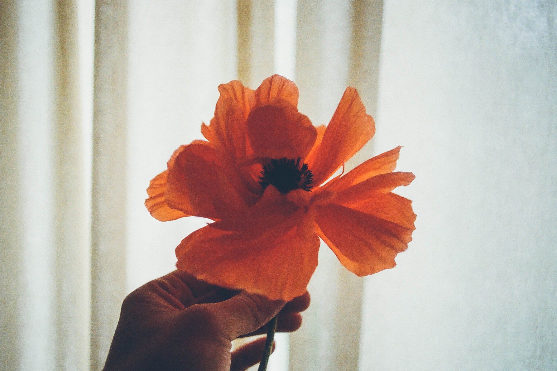 Love Is A Choice, Choose It Over Fear