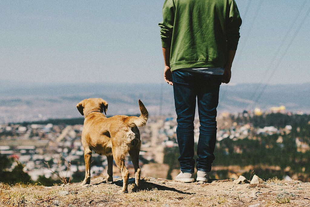 This Is Our Obsession With Success And Why Most People Can’t Obtain The Amount They Want