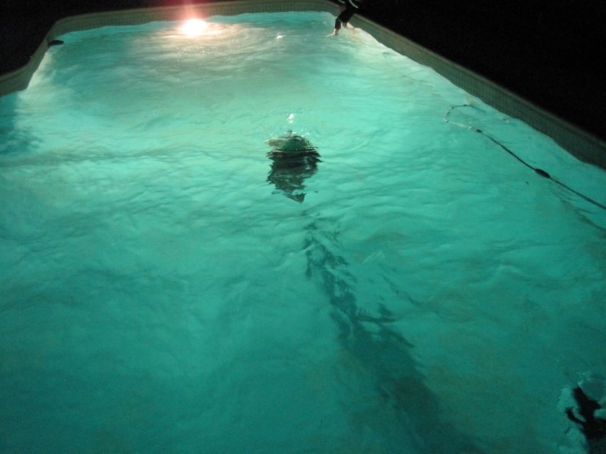 Someone Drowned During My Shift As A Lifeguard And Now Grisly Things Are Happening That I Can’t Explain