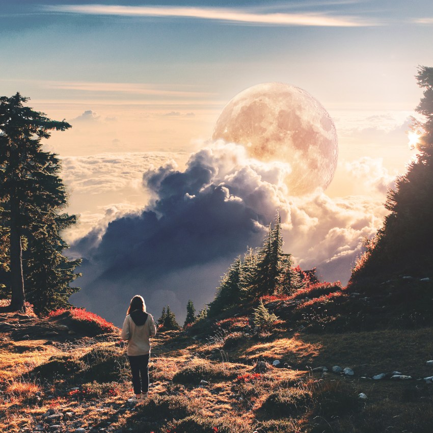 No Matter How Hard I Search, I’m Never Going To Find Another You