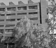 LIU Humanities Bldg BW