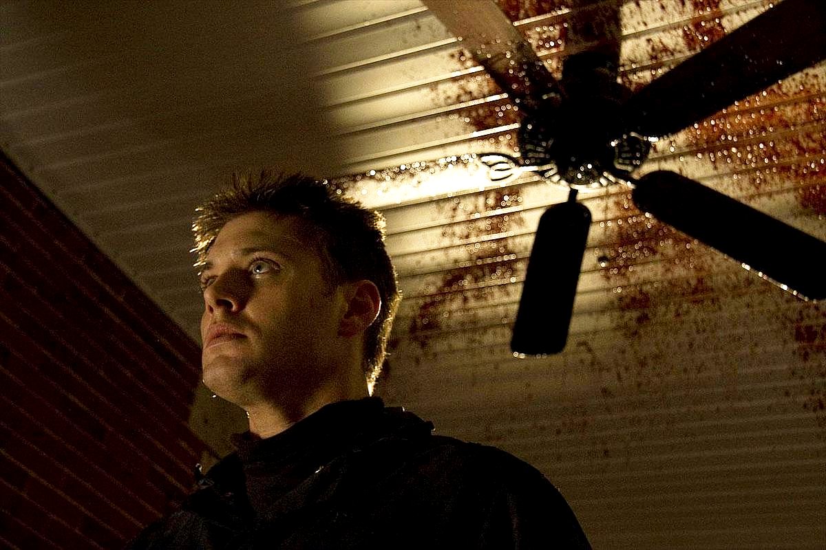 My Bloody Valentine 