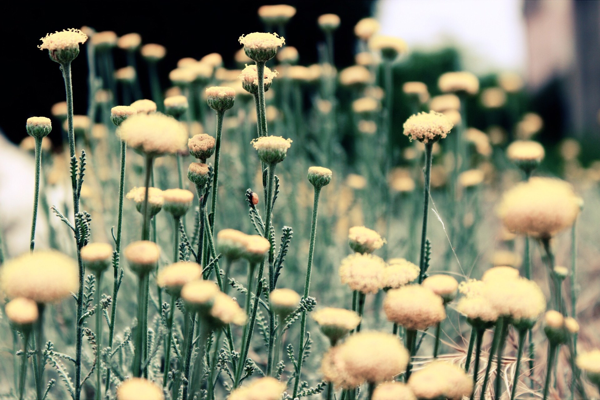 Why Two Broken People Are Never Capable Of Loving Each Other