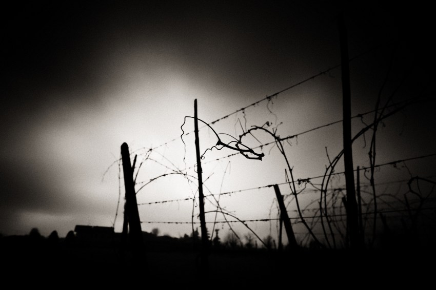 My Late Nana’s Favorite Story To Tell Was How Her Father Saved Their Village From Monsters