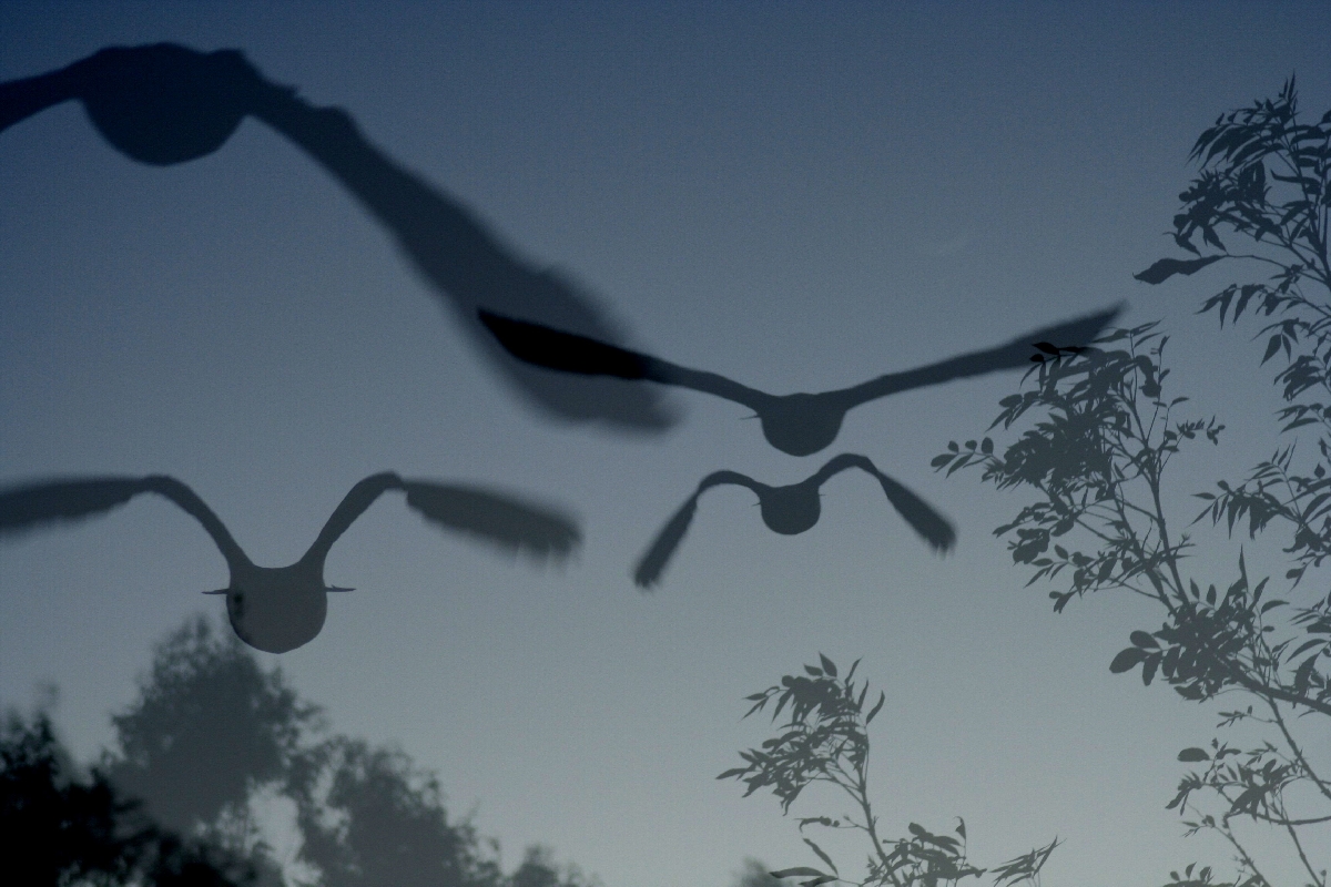 9 Of The Most Terrifying Legends Of Ancient Native American Lore