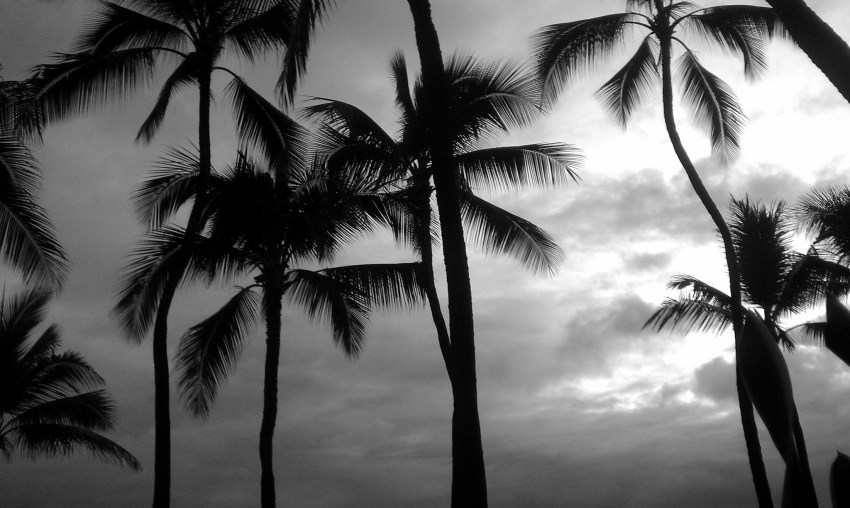 I Was A Cameraman For A Survival Reality TV Show, And What Happened On That Island Haunts Me To This Day