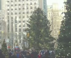 Rockefeller Center Xmas tree 1975