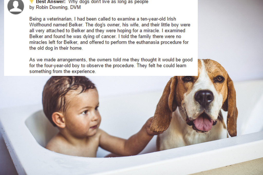 This Little Boy Shares His Tearjerking Theory About Why Dogs Don’t Live As Long As Humans
