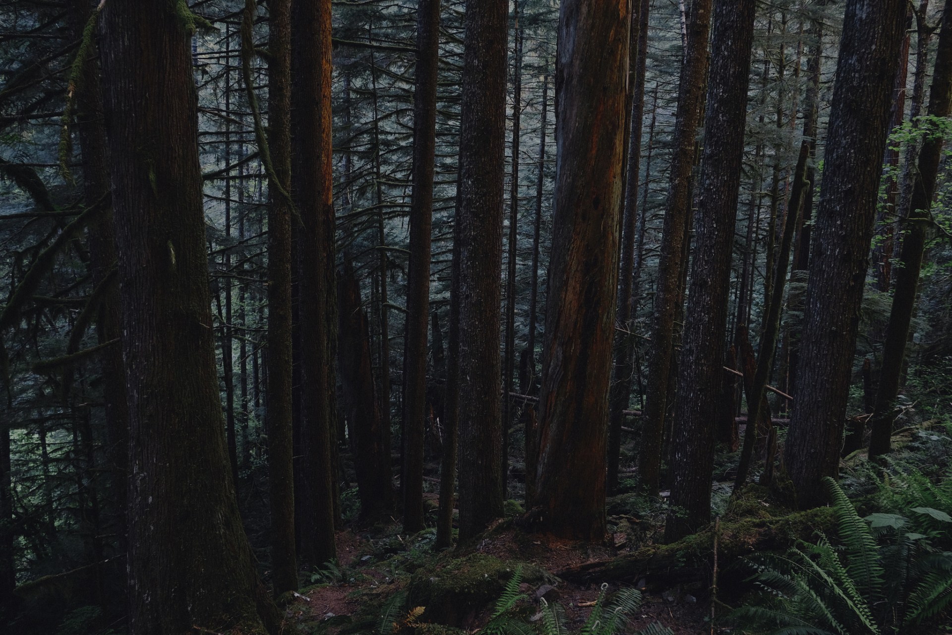 26 People Share Insane Stories About The Scariest Shit They’ve Ever Seen