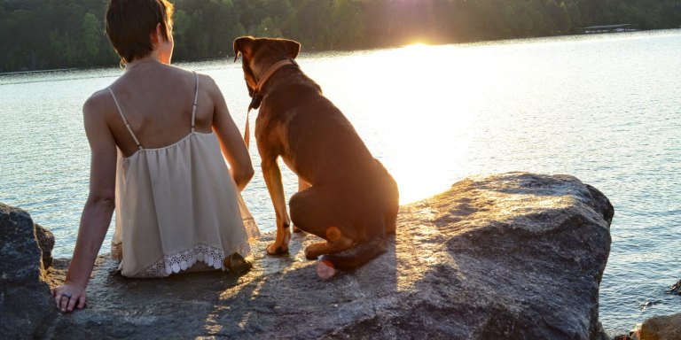 14 Indisputable Reasons Why Dogs Are Superior To Human Beings