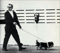 Meyer Lansky walking dog