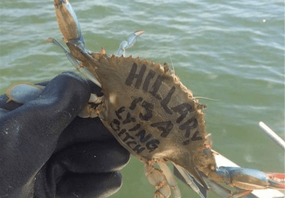 Someone In Maryland Is Painting Anti-Hillary Messages On…Crabs?