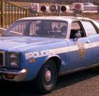 1979 cop car