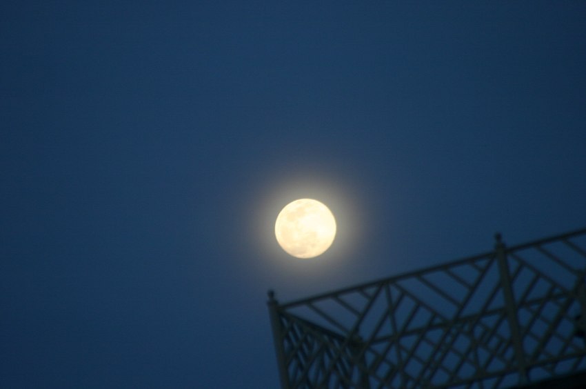 30 Disney Employees Spill The Strangest Thing They’ve Ever Seen Inside The Park