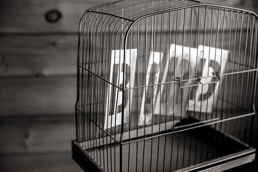 black-and-white-bird-birdcage-cage-medium