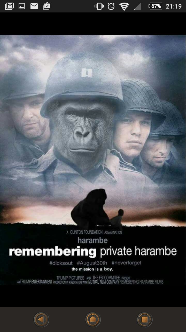 The 50 Greatest Harambe Memes Of All Time