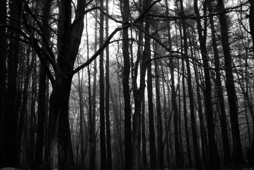 Horror In The Woods: 24 SUPER-Creepy Real-Life Stories Of Camping Gone Wrong