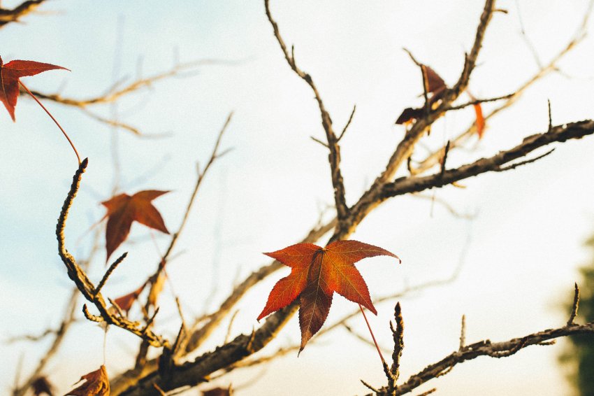 What If I Told You I Missed You