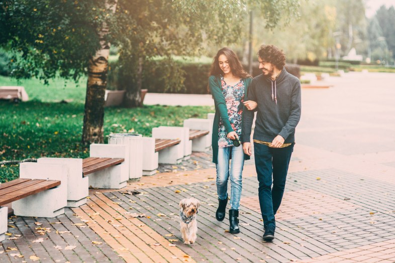 A man and a woman walking a dog in the park.