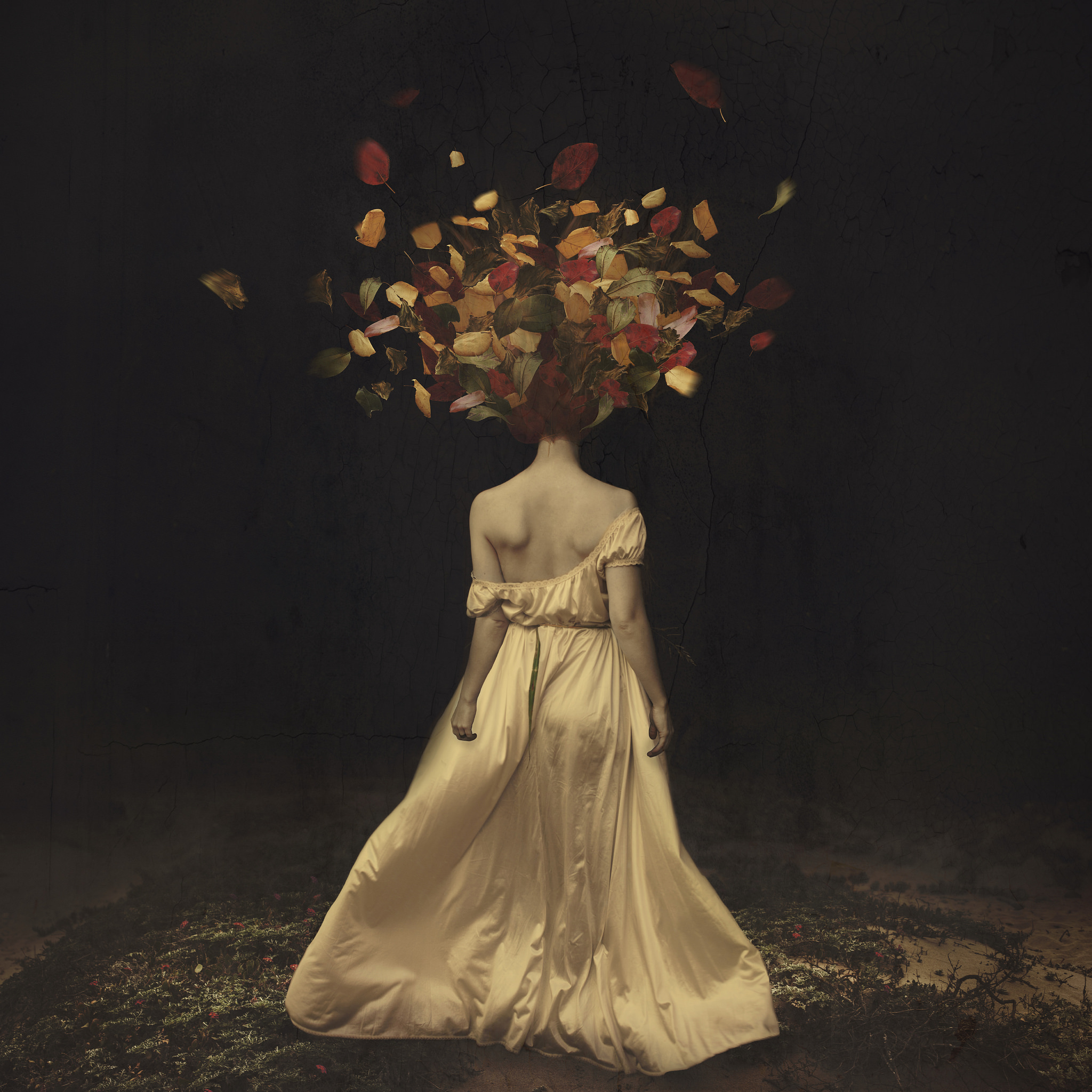  Brooke Shaden 