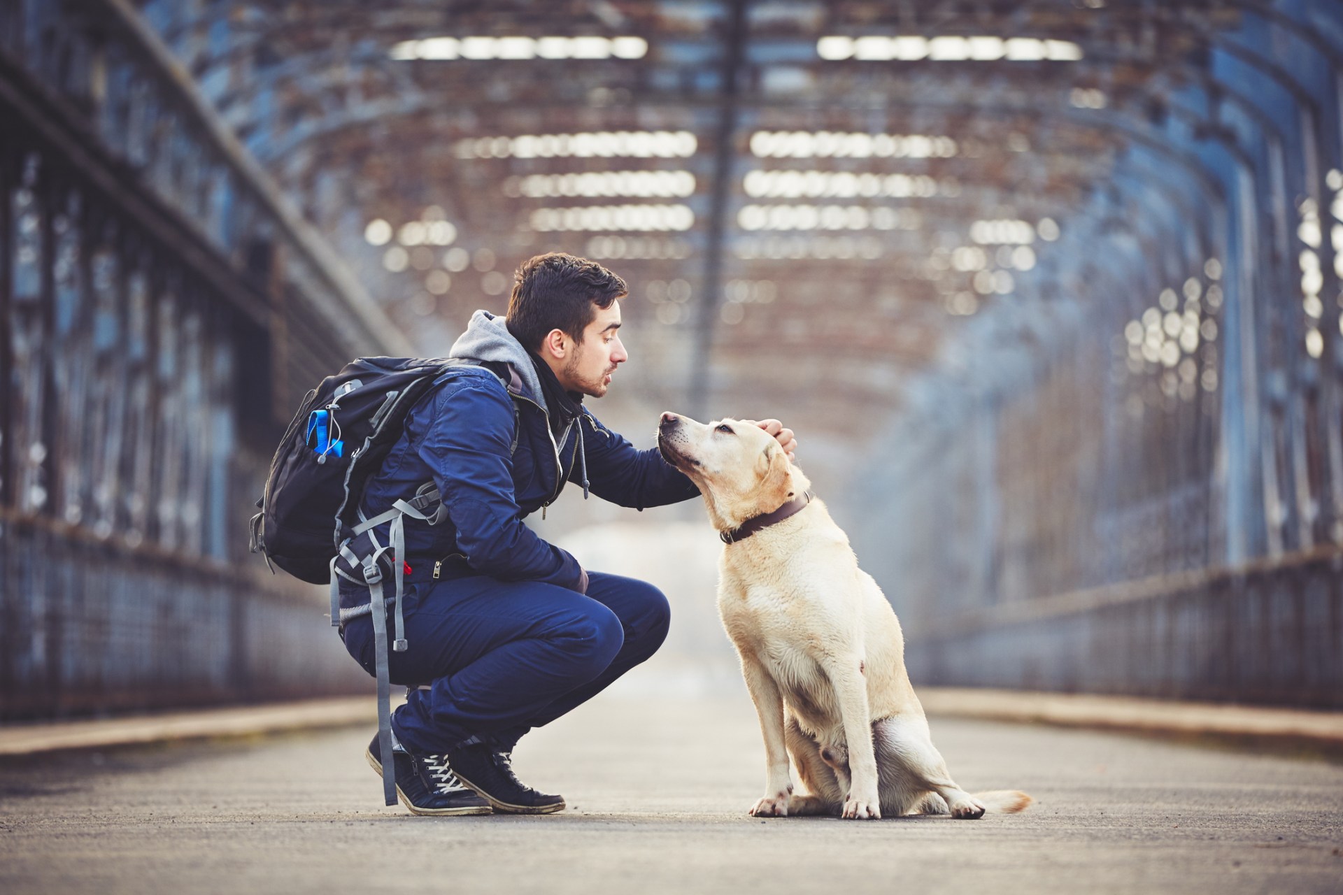 26 Awkward Moments Only Dog-Owners Will Relate To