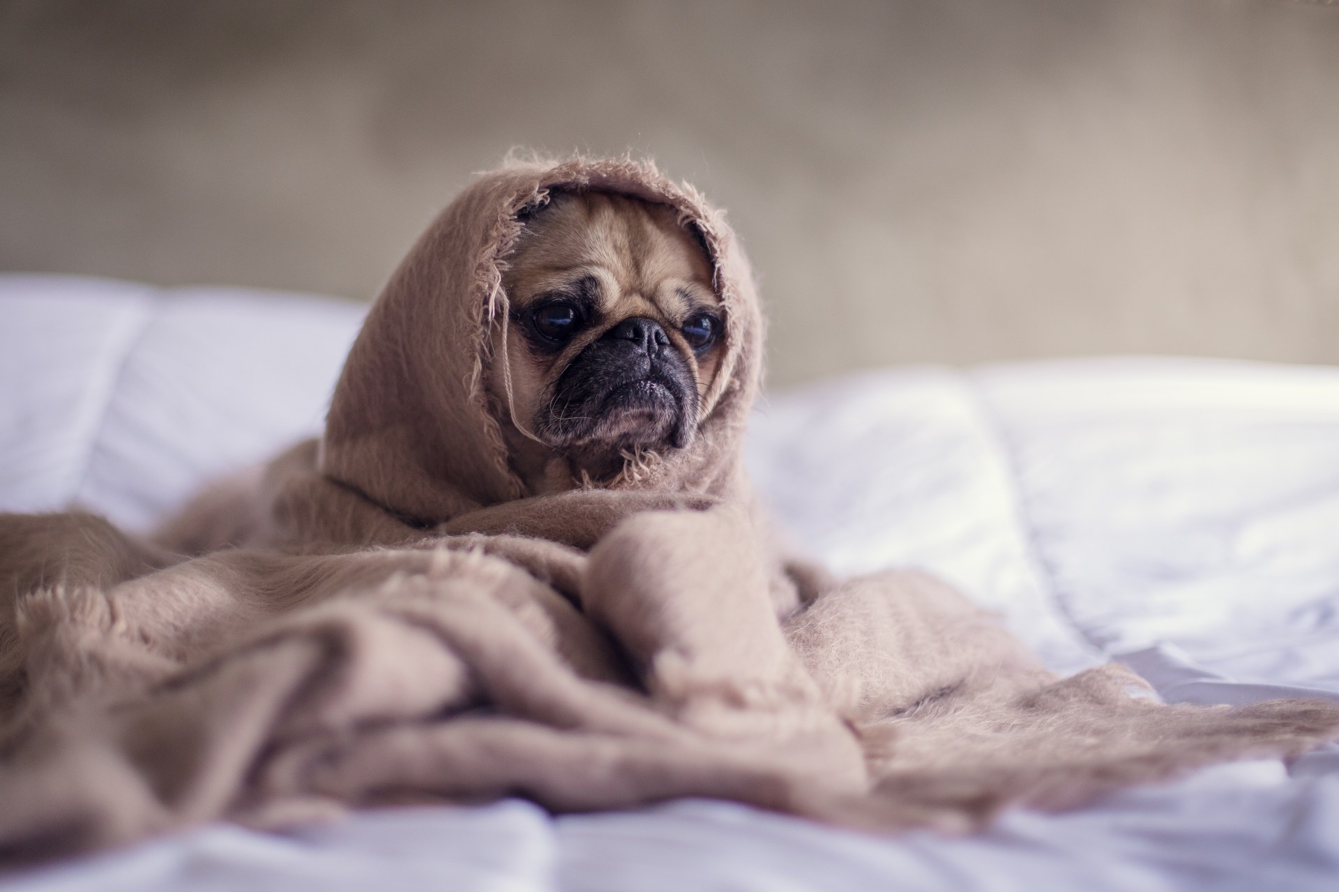 8 Things Every Person Should Do Before 8 A.M.