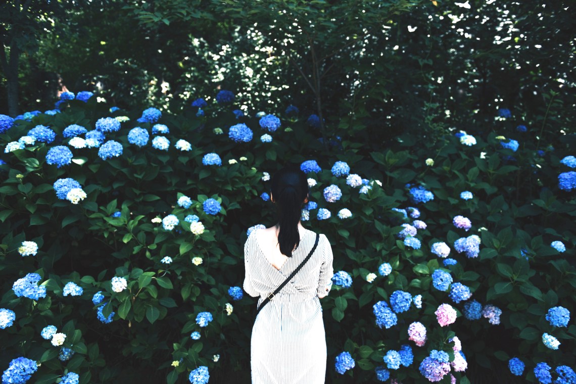 unsplash.com