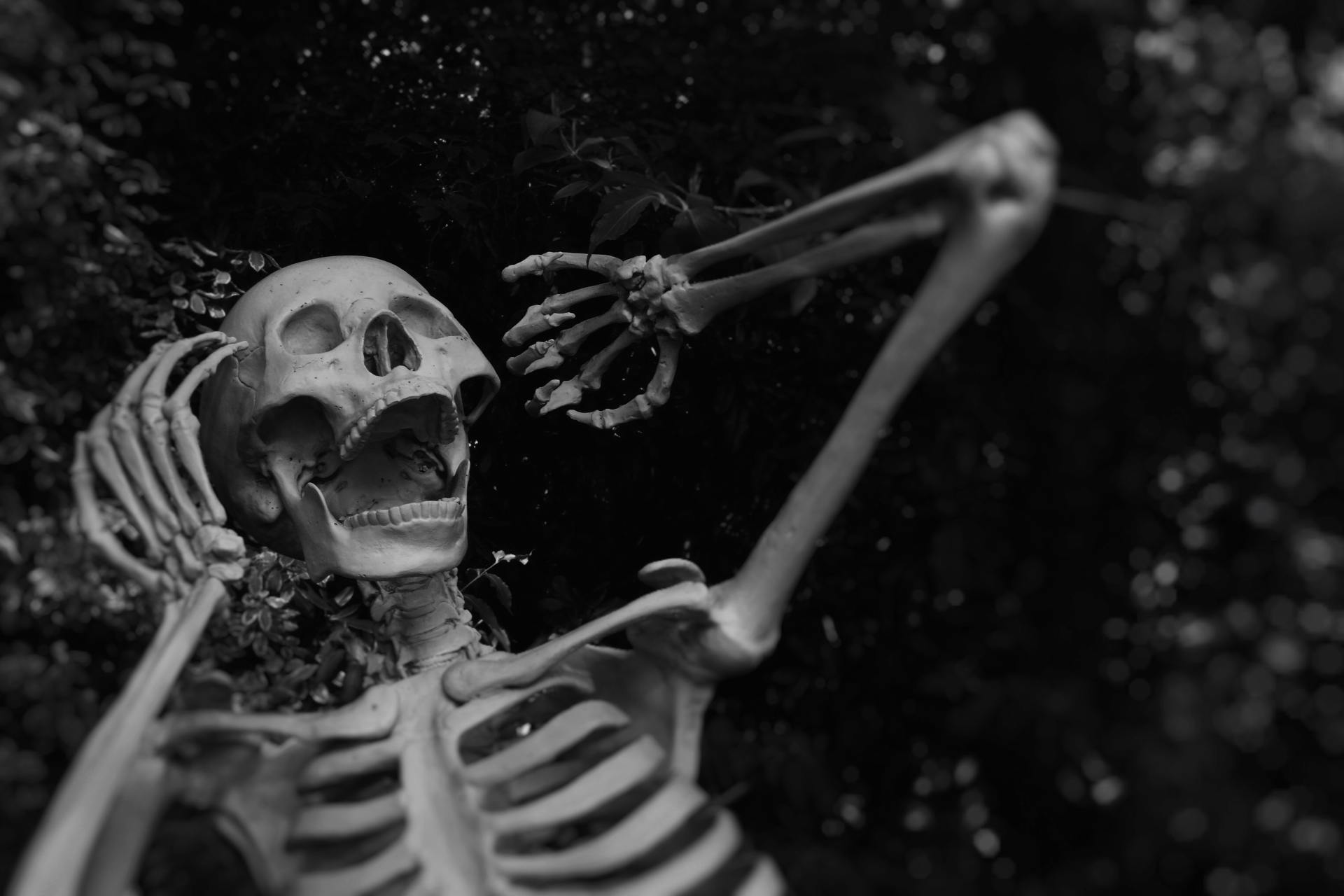 I Moved To A New Town Where No One Celebrates Halloween: Here’s The Horrible Reason Why