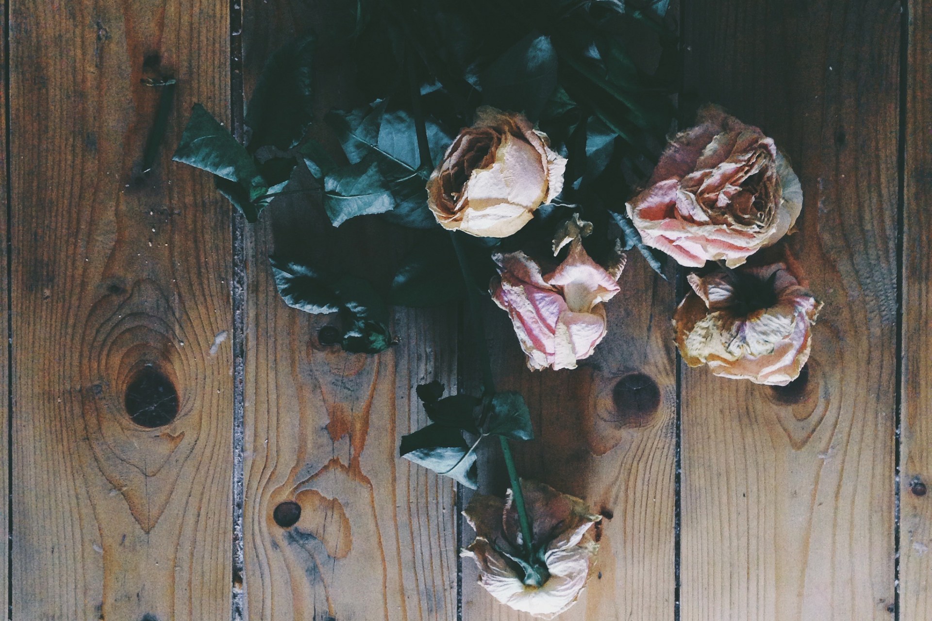 It’s Time You Forgave Yourself For The Things You Got Wrong In 2016