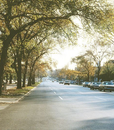 eastern-pkwy-summer