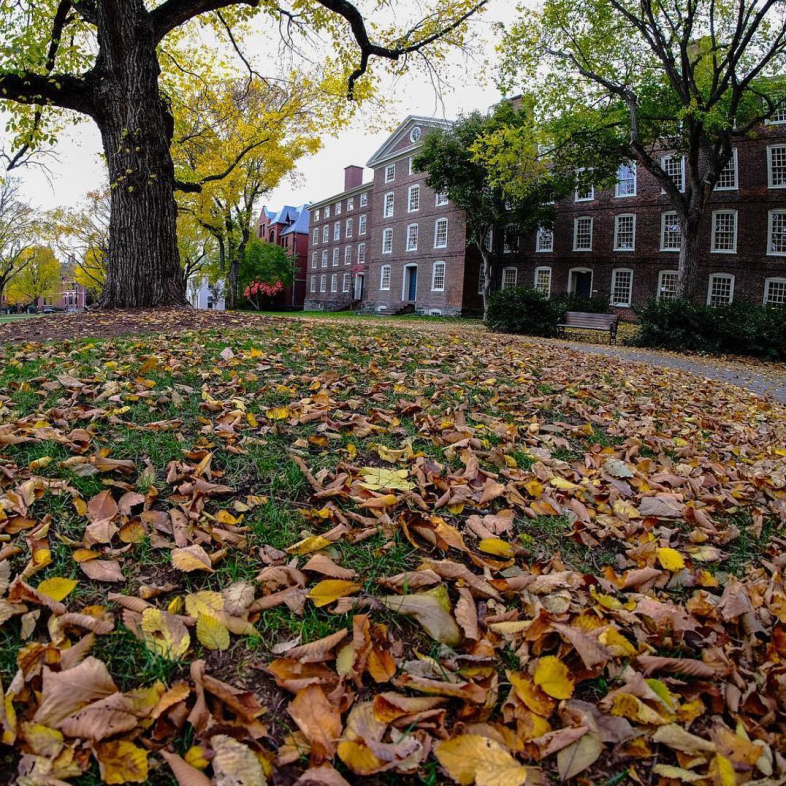 Brown University Instagram 