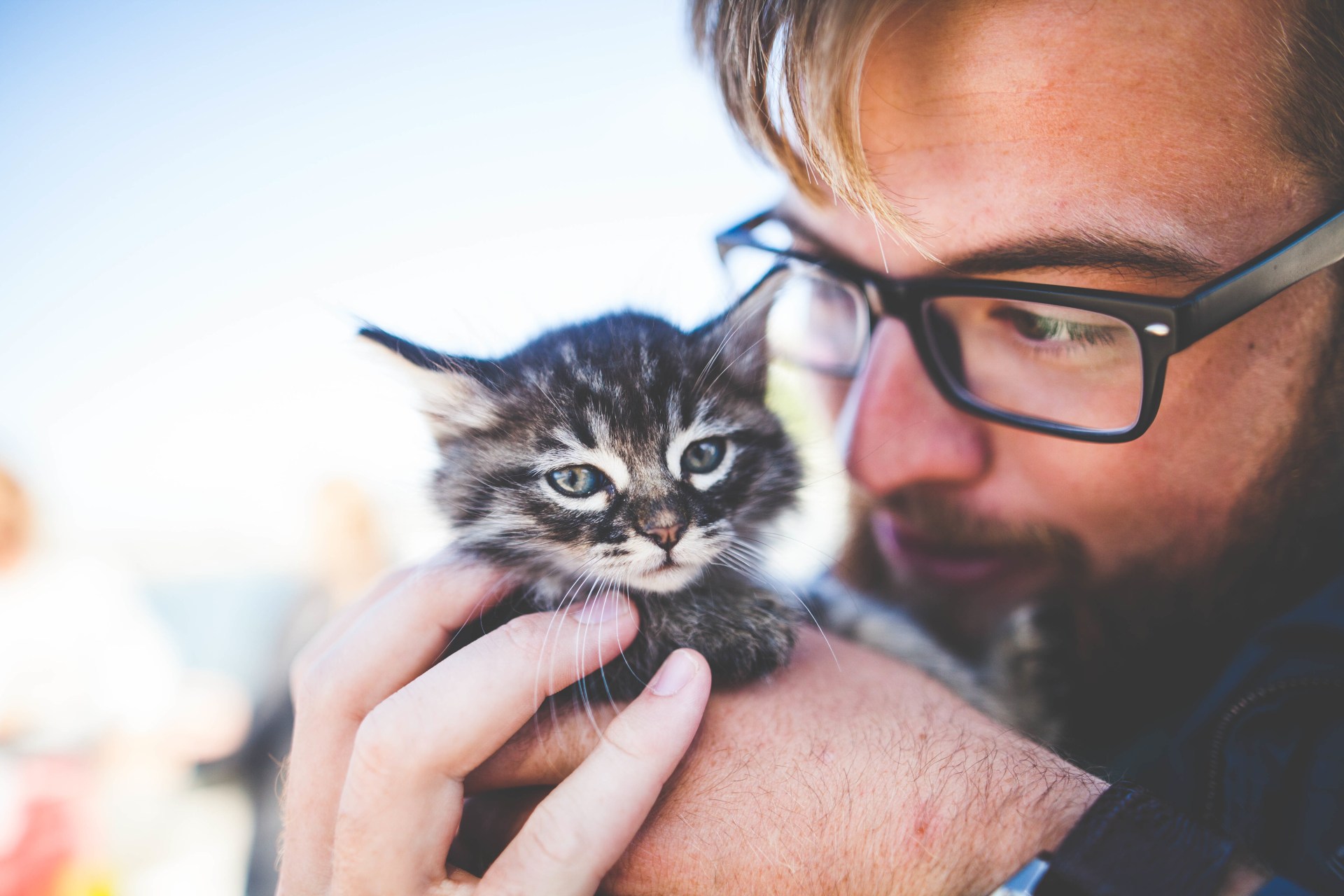 33 Things That Are Wildly More Important Than How Hot He Is