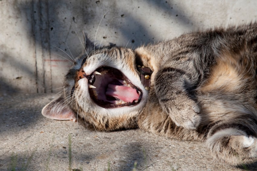 31 Things I Just Really Don’t Want To Do Anymore