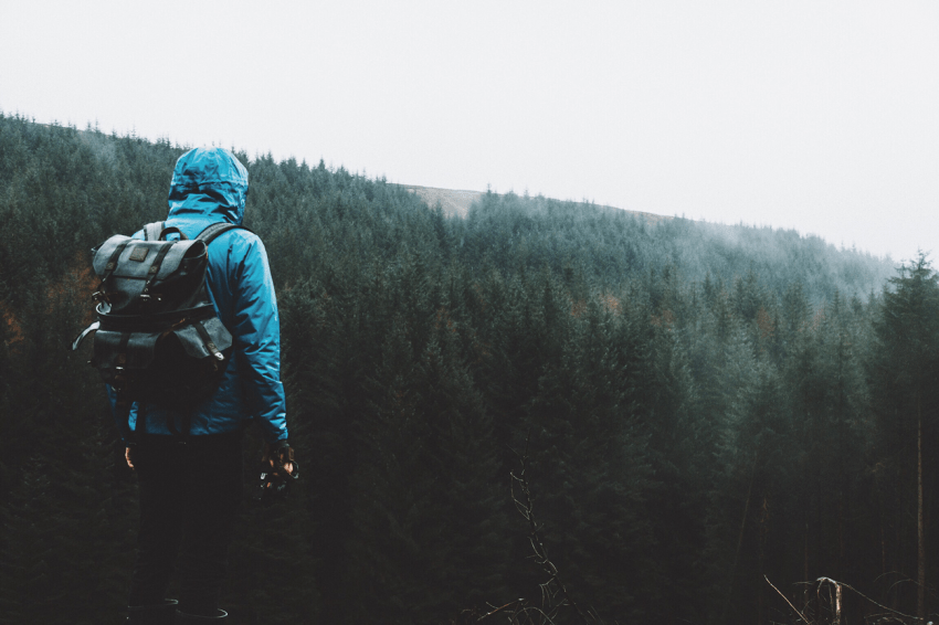 To Every Person Who Feels Lost And On The Wrong Path, Read This