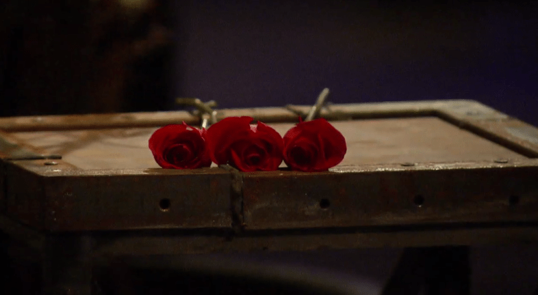 The Bachelor