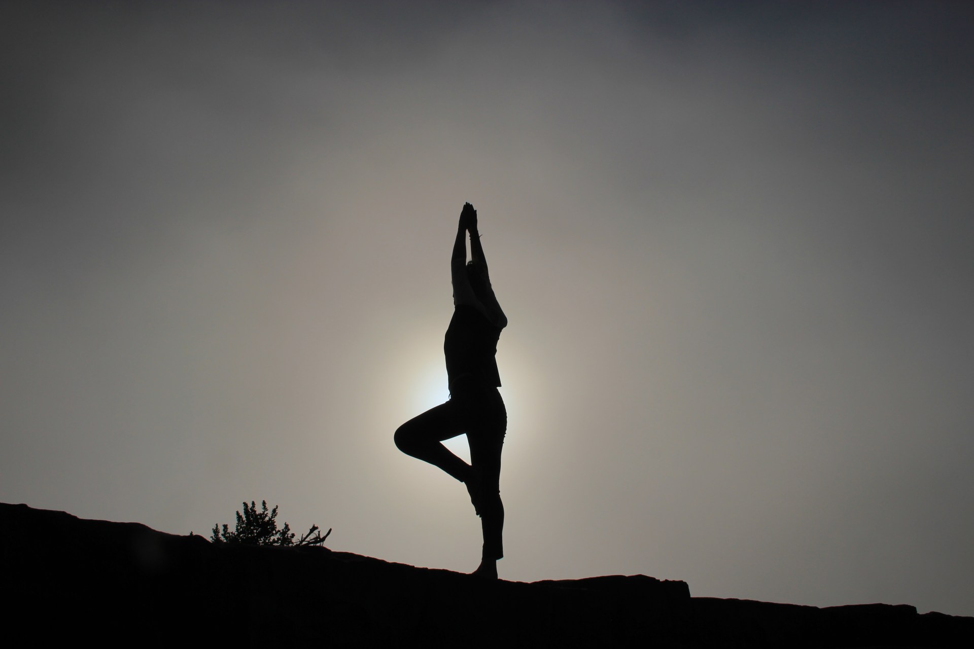 The 5 Pillars Of What Makes Us Human
