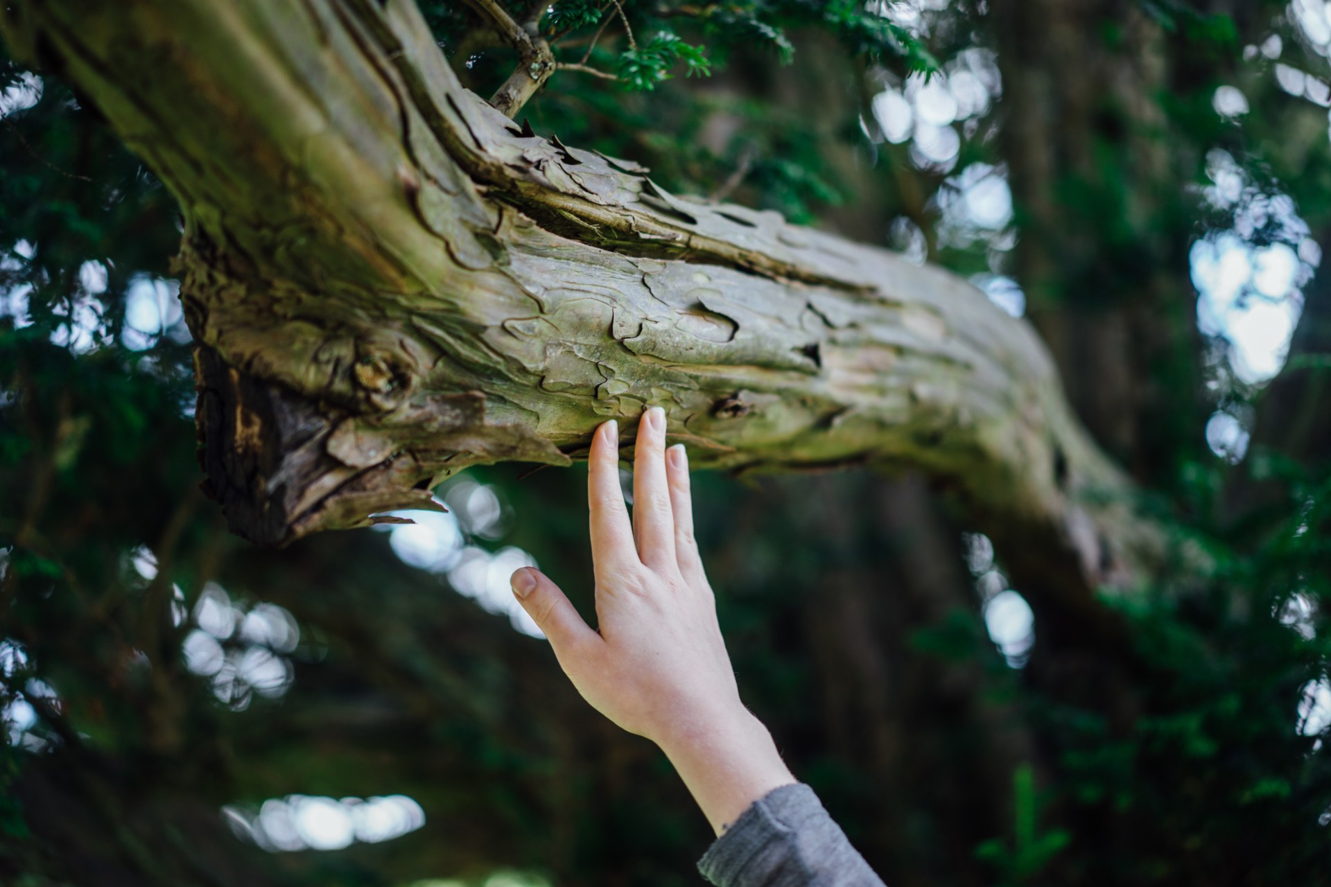 For Anyone Who Needs It, 104 Little Things To Do Instead Of Continuing Self-Harming Habits