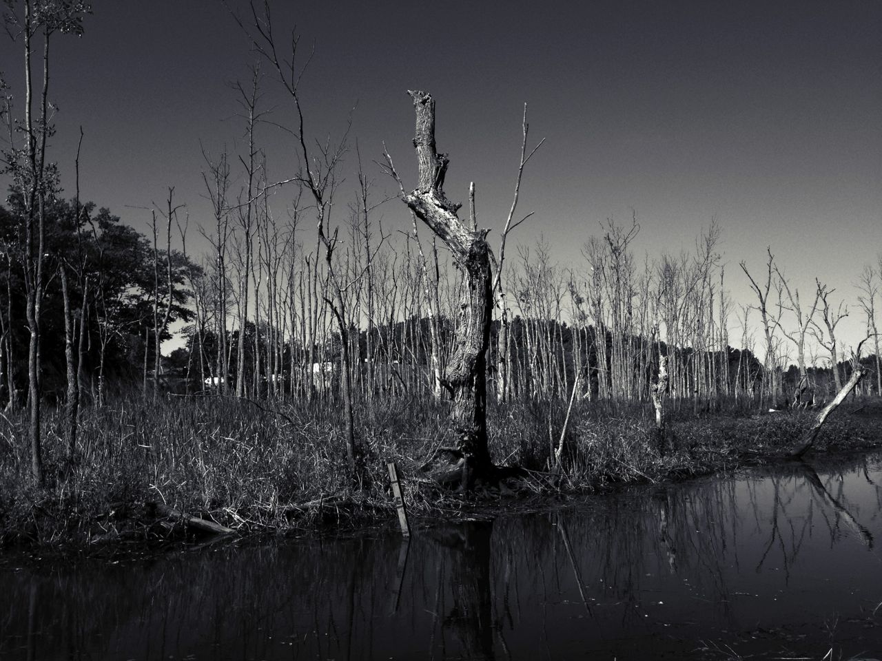 I Thought I Was All Alone In The Wilderness: 18 Super-Creepy Encounters