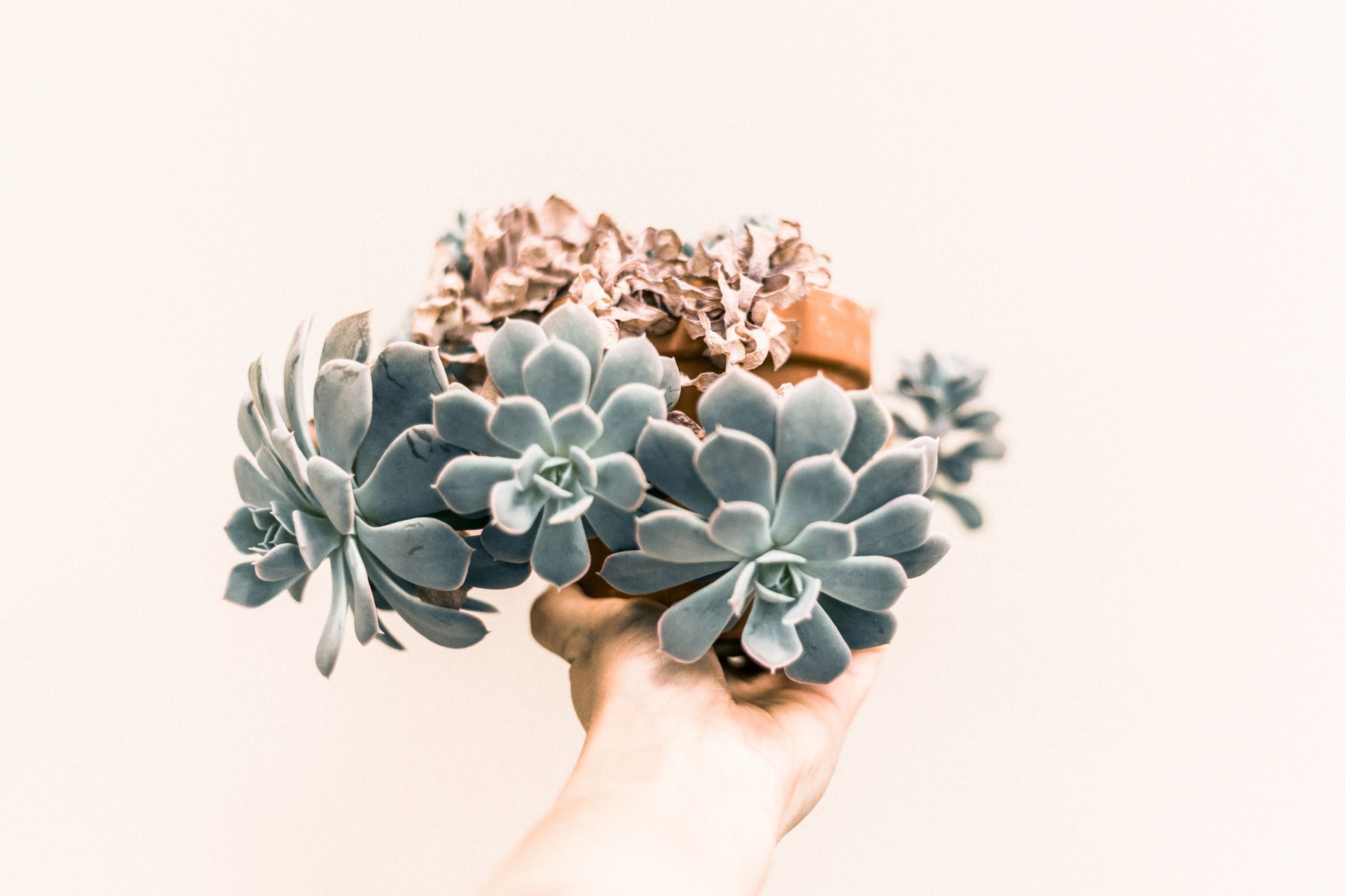 12 Things I’ve Done Lately To Curb My Anxiety That Have Nothing To Do With Therapy