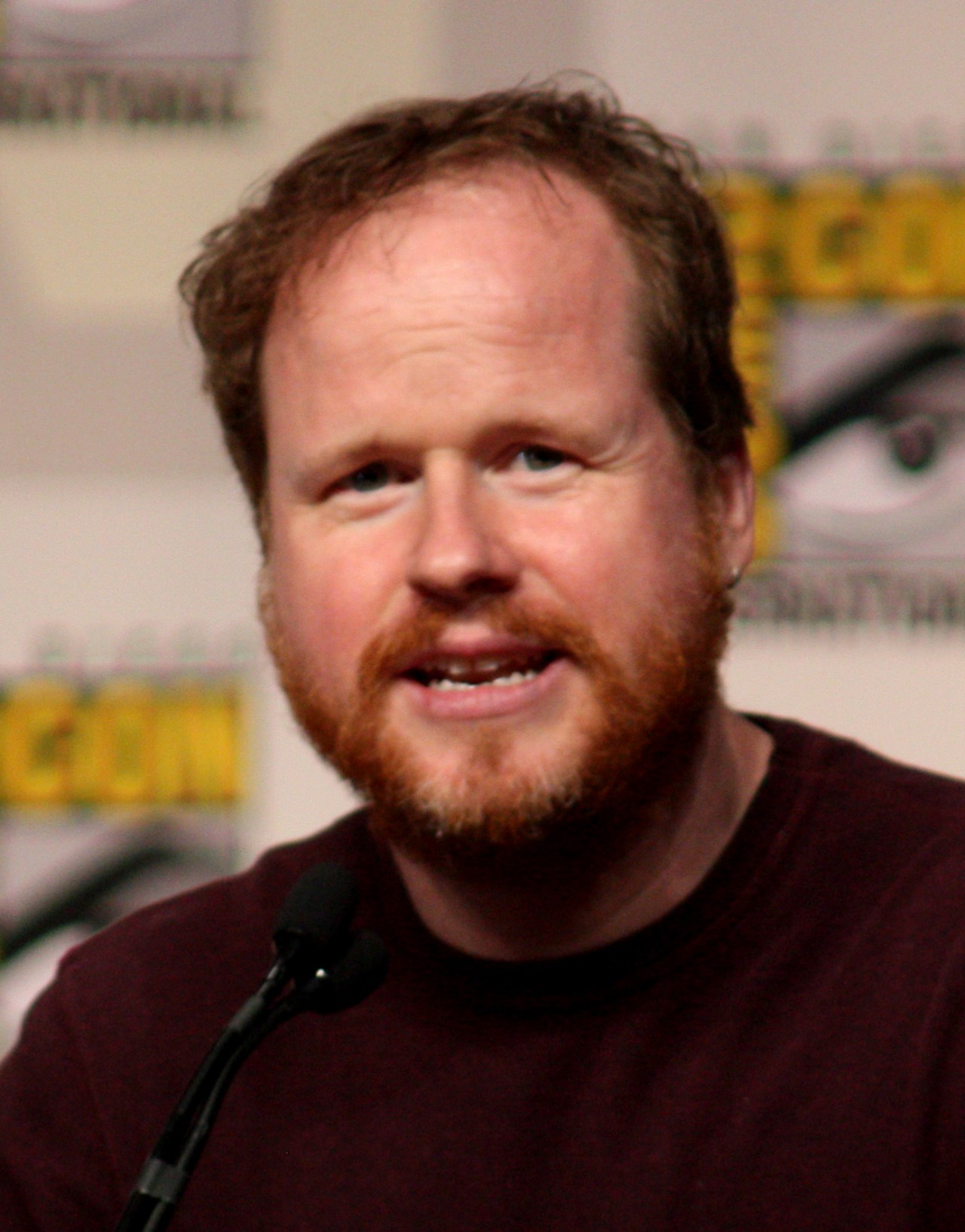 Joss Whedon at Comic Con