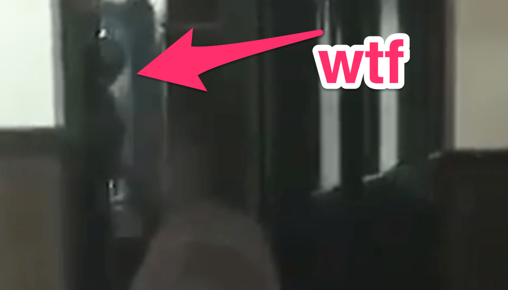 Someone Found Something Disturbing In The Background Of A Video Their Dogsitter Sent