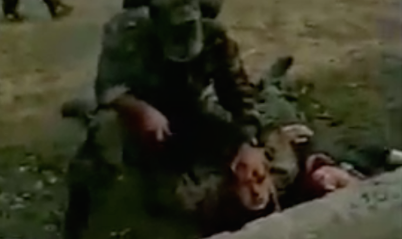 5 Real Videos Of People Being Murdered That Will Destroy Your Faith In Humanity