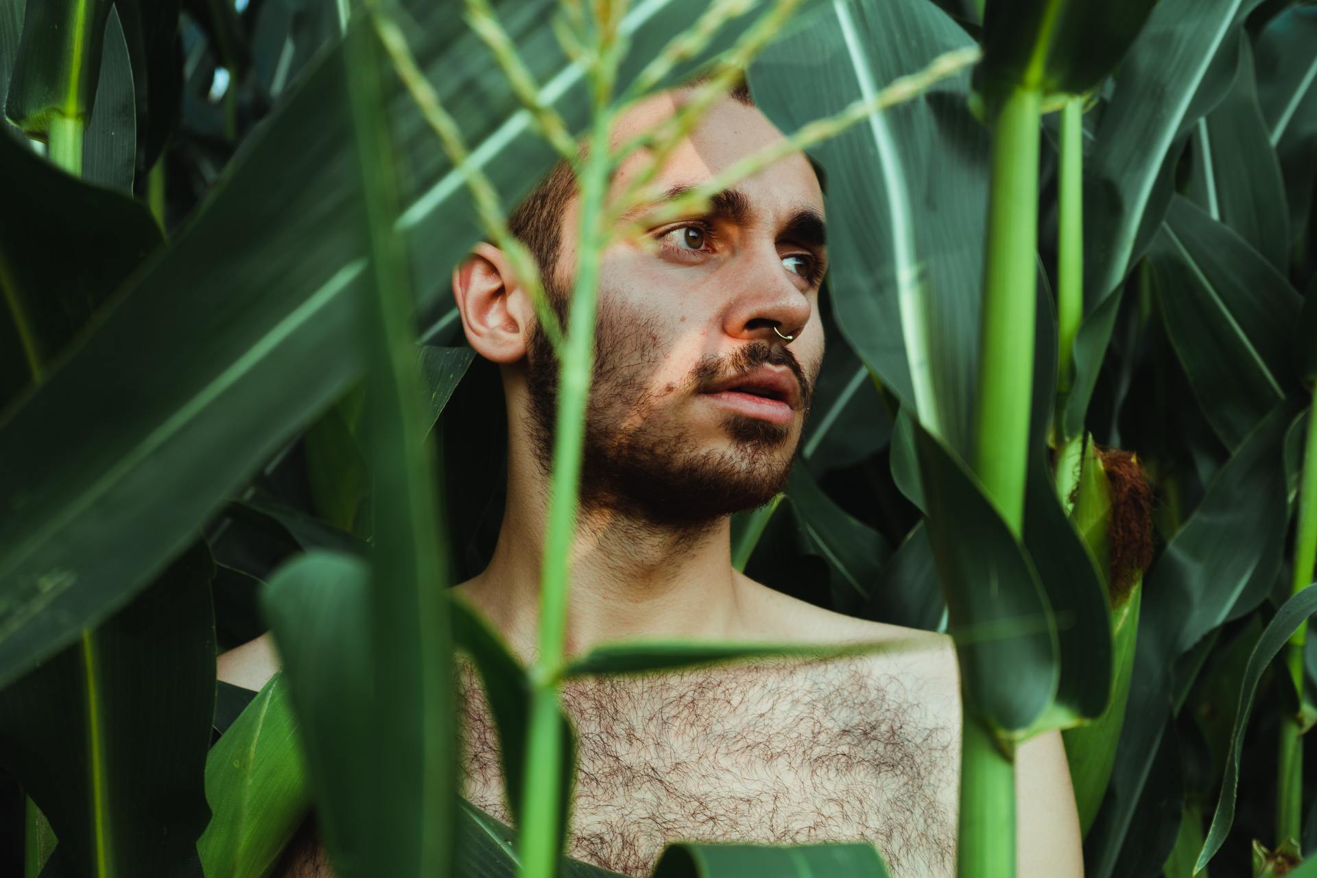 I Interviewed The Tenner Family About The ‘Incident’ In Their Cornfield (Part 1)