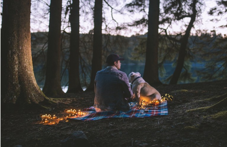 guy in forest, guy regretting leaving her, relationships