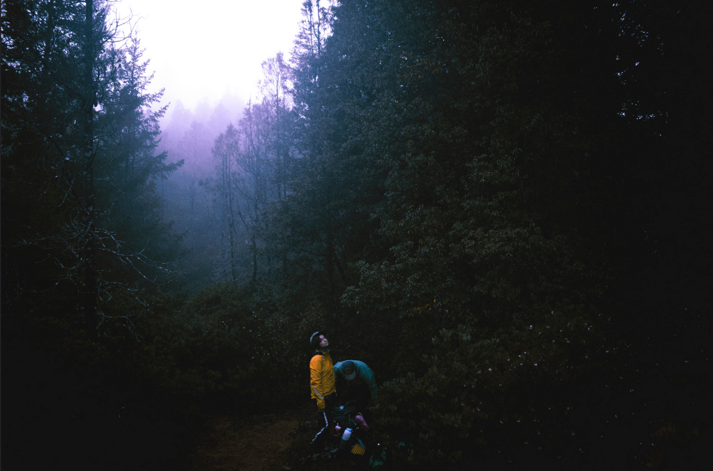 Here’s Why People Are Creeped Out By The Growing Number Of Missing Persons In Our National Parks