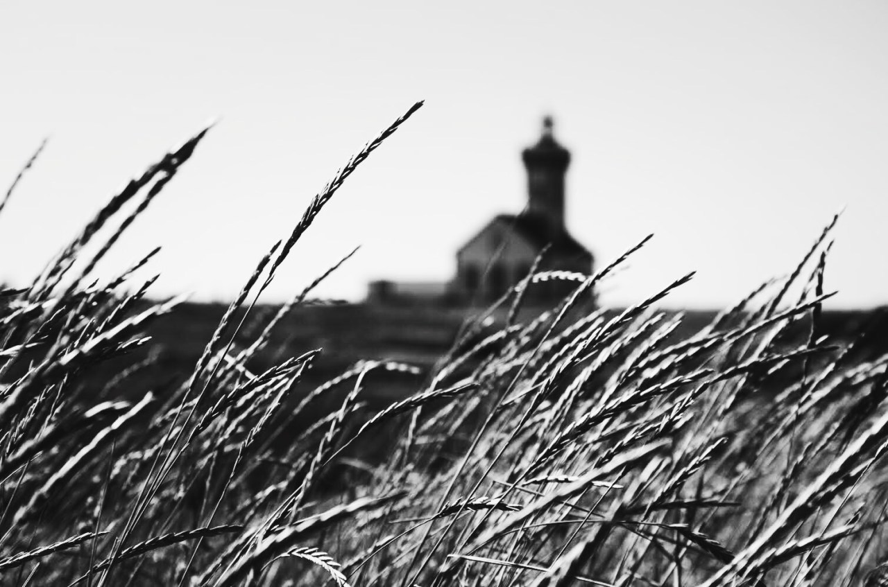 I Came Across An Abandoned Farmhouse With A Sinister Secret But No One Believes Me