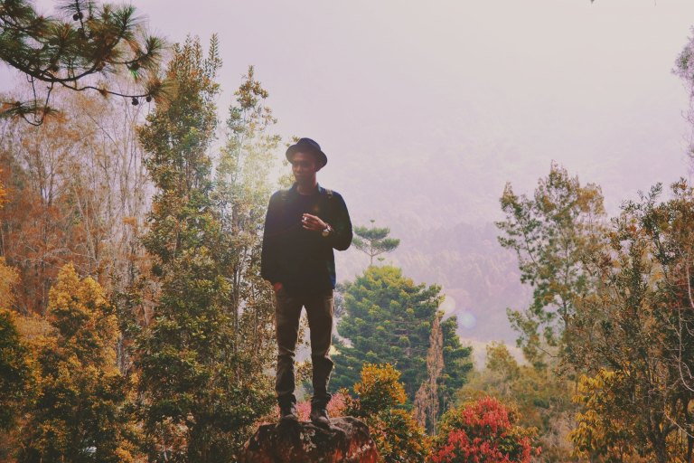 Guy standing in fall trees