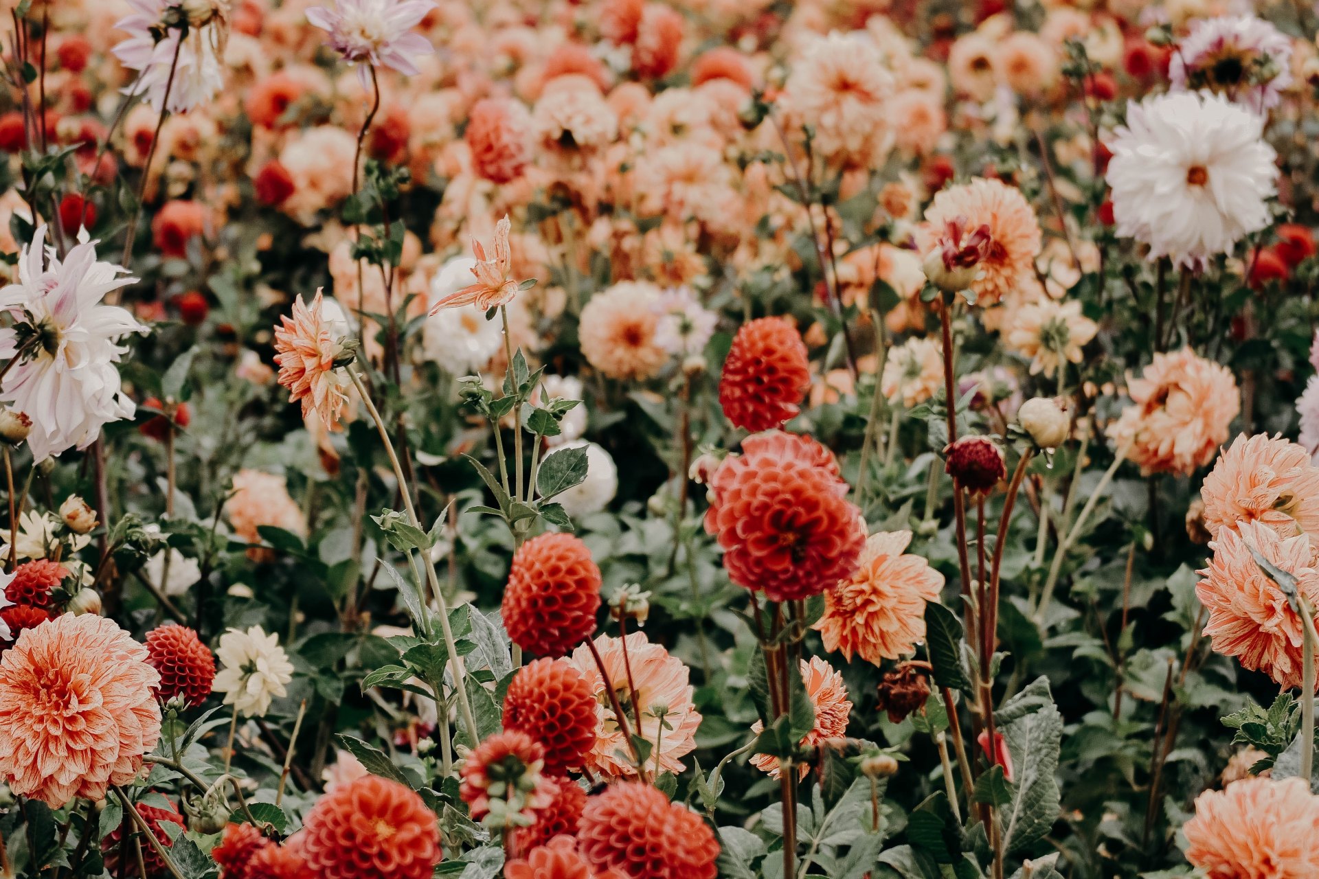 I Am Always Just ‘Her’